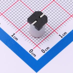 SPT1EM221E09TRVZC商品缩略图