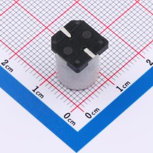 SPT1JM101G12TRVZC商品缩略图