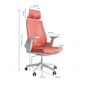 ZY-6619商品缩略图