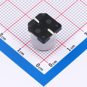 SPT1CM331G10TRVZC商品缩略图