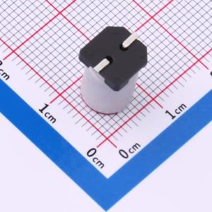 CS016M102SMD8*12.5T商品缩略图