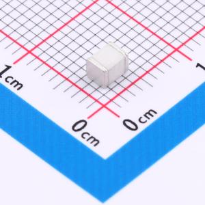 SW091Y-SMD商品缩略图