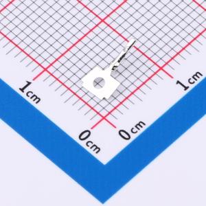 B1251-2DP1商品缩略图