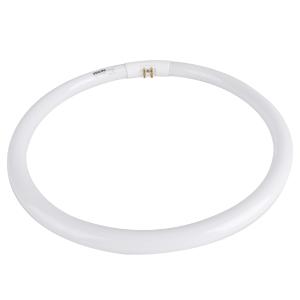 T5HXG32W BG商品缩略图