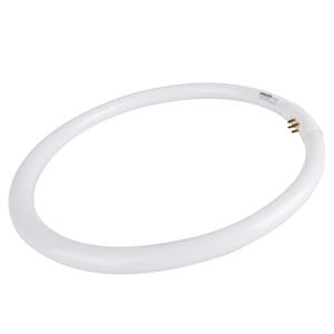 T5HXG22W BG商品缩略图