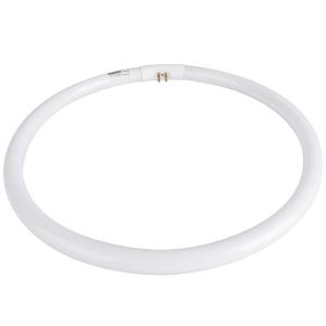 T5HXG40W BG商品缩略图