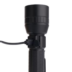 421162商品缩略图