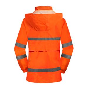 ZHIZHEN1246商品缩略图