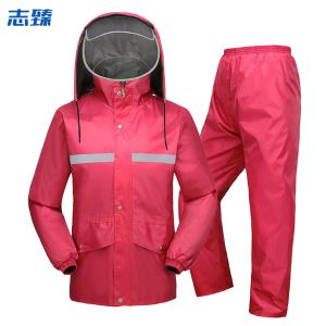 ZHIZHEN1198商品缩略图