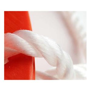 ZHIZHEN1423商品缩略图