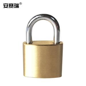 安赛瑞 黄铜挂锁 实心铜挂锁 抽屉锁 储柜锁 门锁 仓库锁 电柜电箱锁 40mm 14754