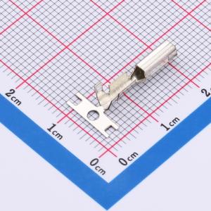 HP2.1-T商品缩略图