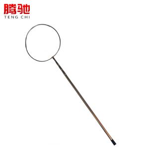 腾驰/CT 救生杆 游泳池救生杆伸缩救生杆游泳池伸缩杆4.5米不锈钢救生杆(含内圈)