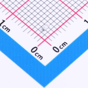 BSMD0603C-1250T商品缩略图