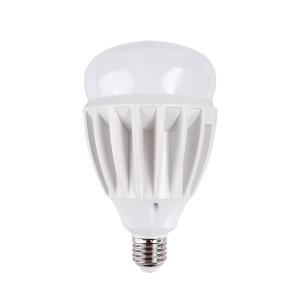 A100DGLDP 220V30W 65K E27商品缩略图