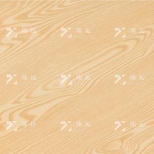 ZY4040844商品缩略图