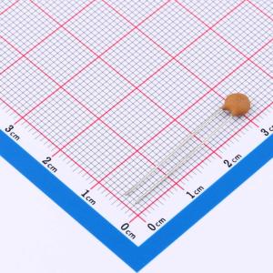 CC1H300KA1IDSL4B3100商品缩略图