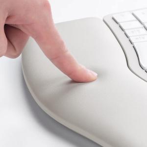 GSKBERG5GY商品缩略图