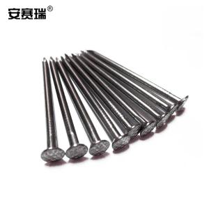 安赛瑞 铁钉 铁钉子 圆钉 洋钉 木工钉 木板钉 20mm(1kg装)22286
