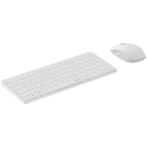 9050S BAISE商品缩略图