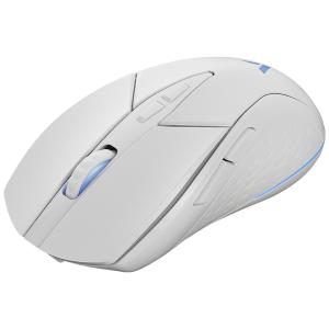 V300W BAISE商品缩略图