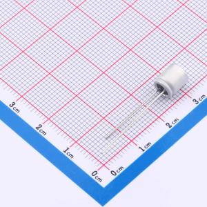 KM1V101M0607商品缩略图