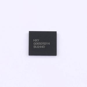 HGS0650112LTR商品缩略图