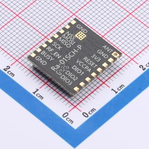 Ra-01SH-P商品缩略图