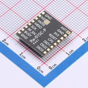 Ra-01S-P商品缩略图