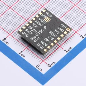 Ra-01SC-P商品缩略图