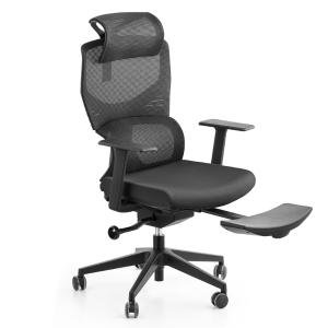 CJ-BGY-28商品缩略图