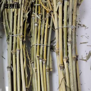 23941商品缩略图