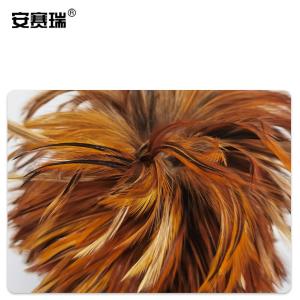 23939商品缩略图