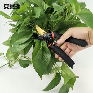 25002商品缩略图