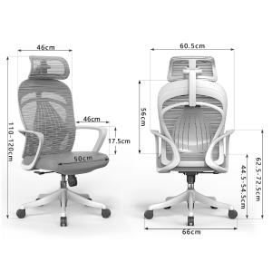 CJ-BGY-19商品缩略图