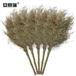 23941商品缩略图