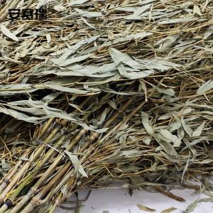 23941商品缩略图