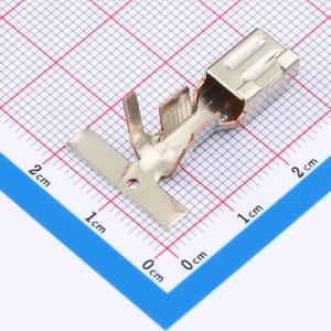 DL5200-T-XG商品缩略图