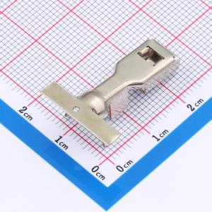 DL5200-T-XG商品缩略图