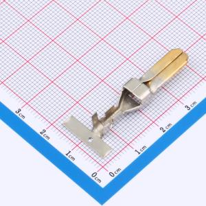 DL5200-RT商品缩略图