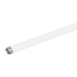 PAK090221商品缩略图