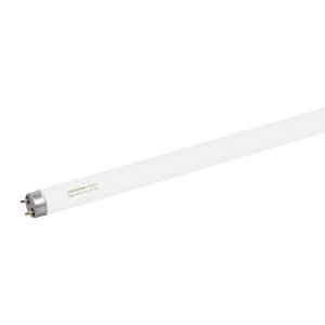 PAK090301商品缩略图