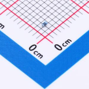 SLQW1005C91NJT商品缩略图