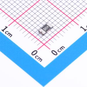 BSMD1206-100-6V商品缩略图