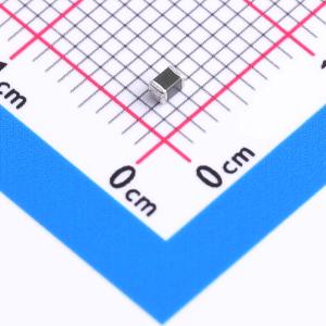 B72510T0250K062商品缩略图