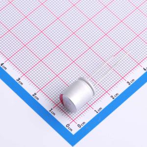 100uF ±20% 100V