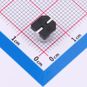 RVT1V470M0605ZY商品缩略图