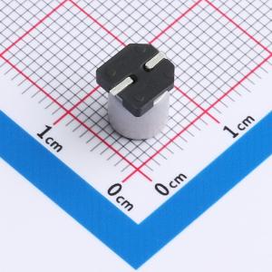 RVE1H470M0607商品缩略图