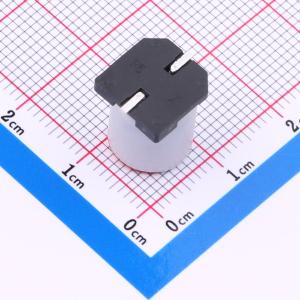 SS152M160G12R7R1Z00ZZ商品缩略图