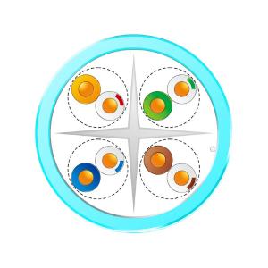 ZL2401243商品缩略图